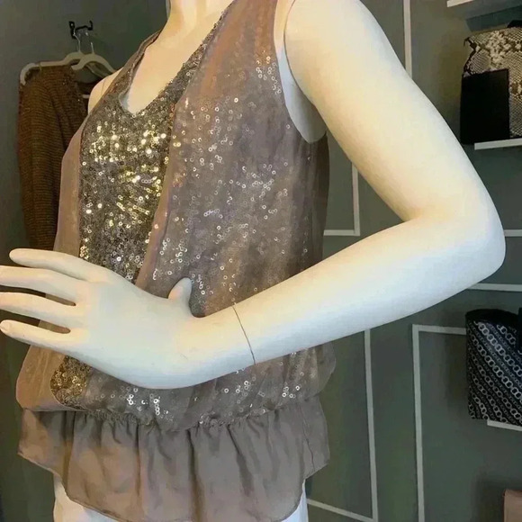 Robbi & Nikki Beige Sequined Sparkling Top with Silk Overlay. Size XS. - Picture 7 of 8